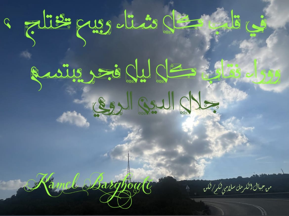 Image 287