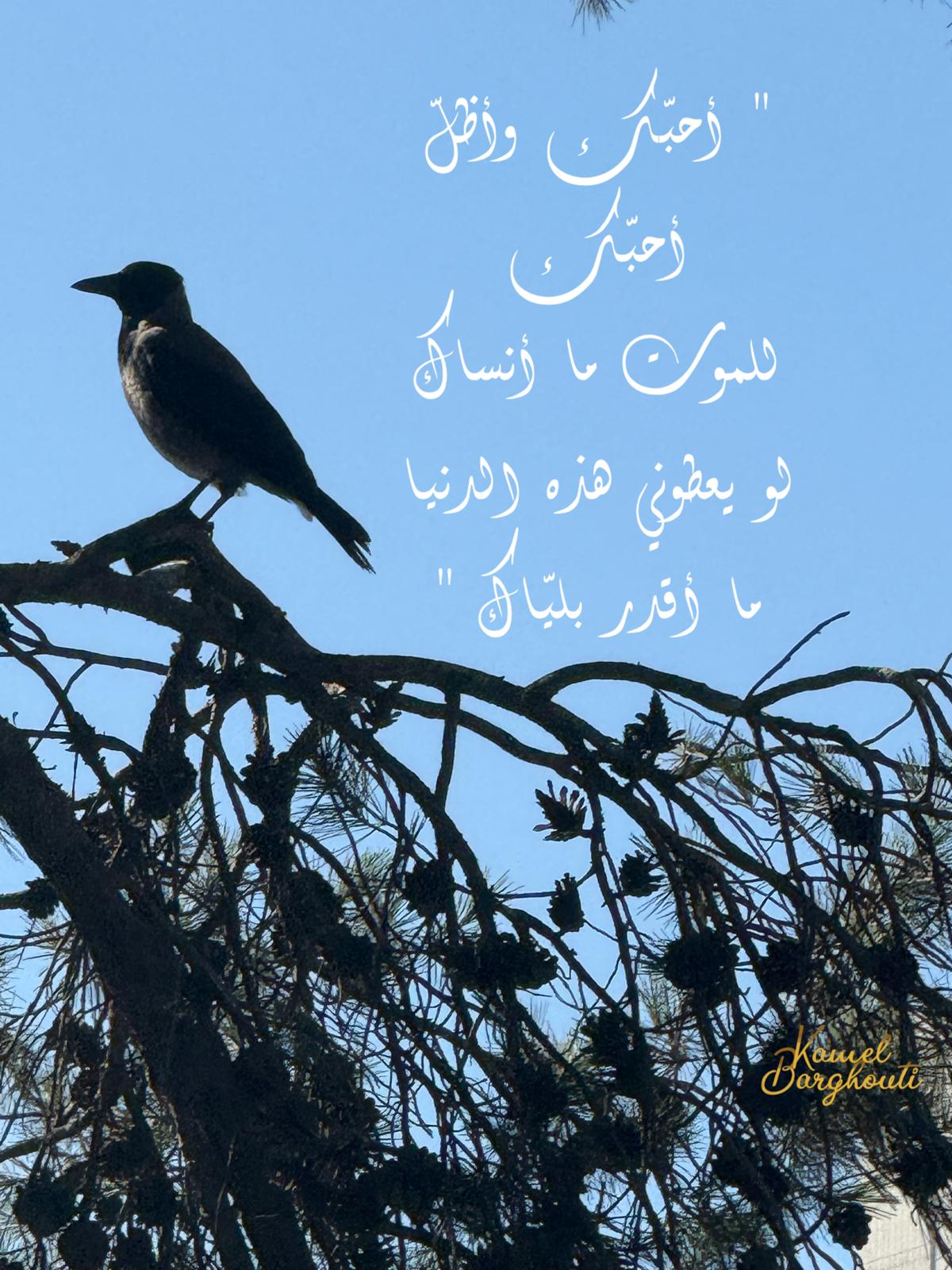 حب وحنين – اقتباس 9