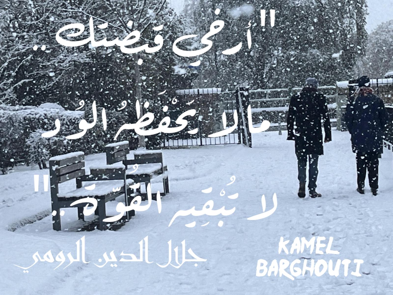 كلام جميل – اقتباس 839