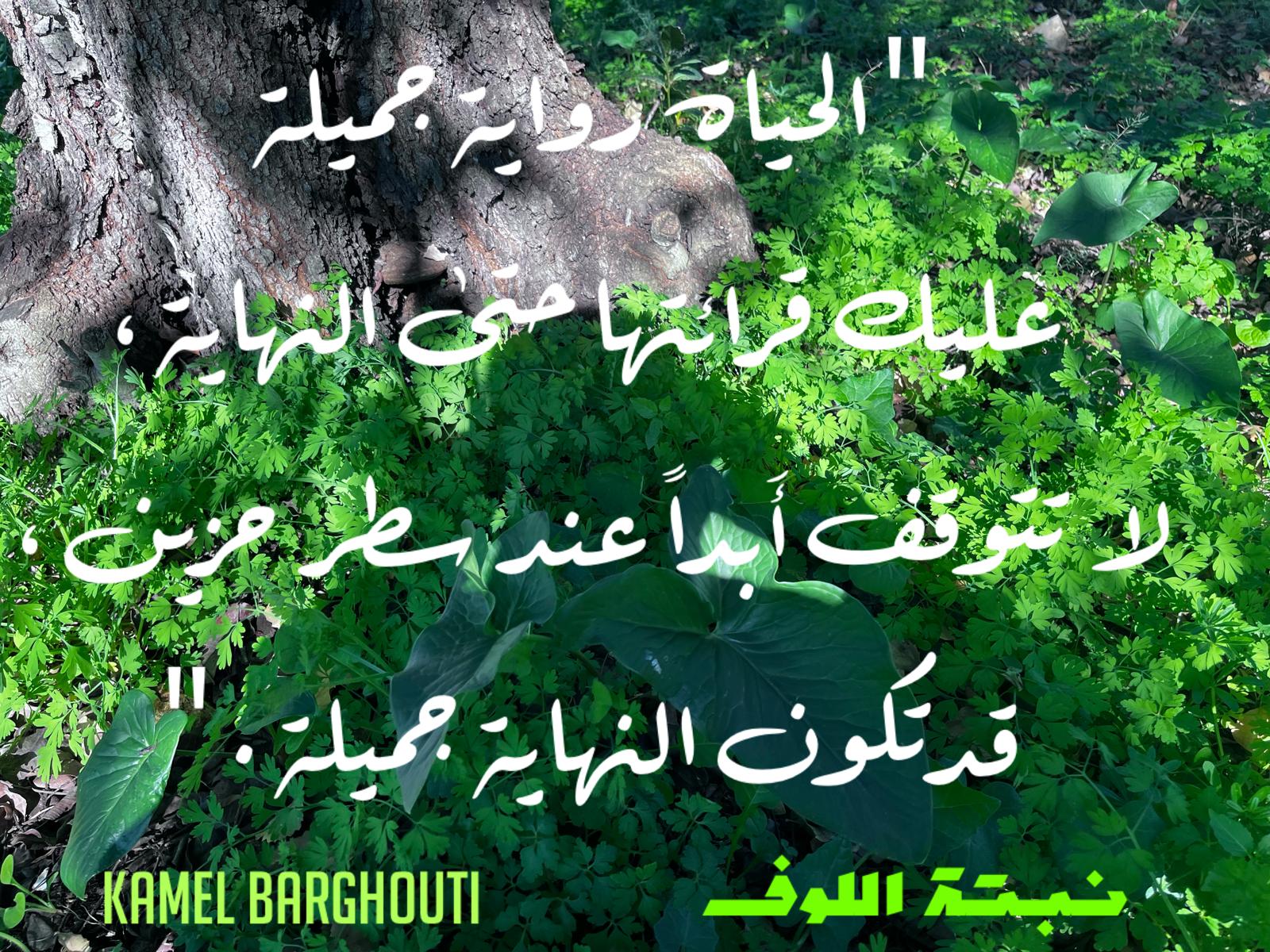 كلام جميل – اقتباس 833