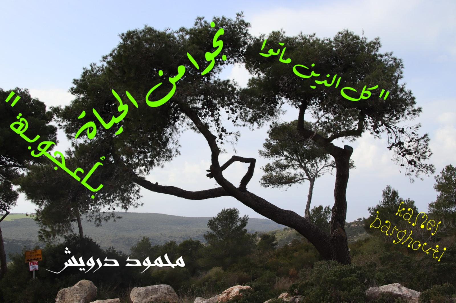 كلام جميل – اقتباس 832