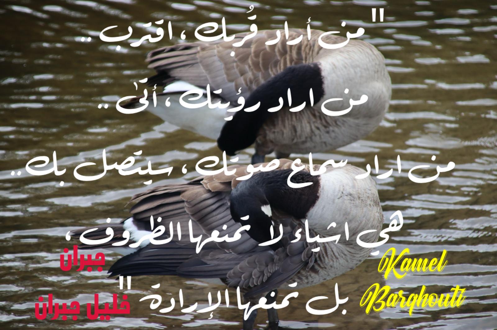 كلام جميل – اقتباس 840