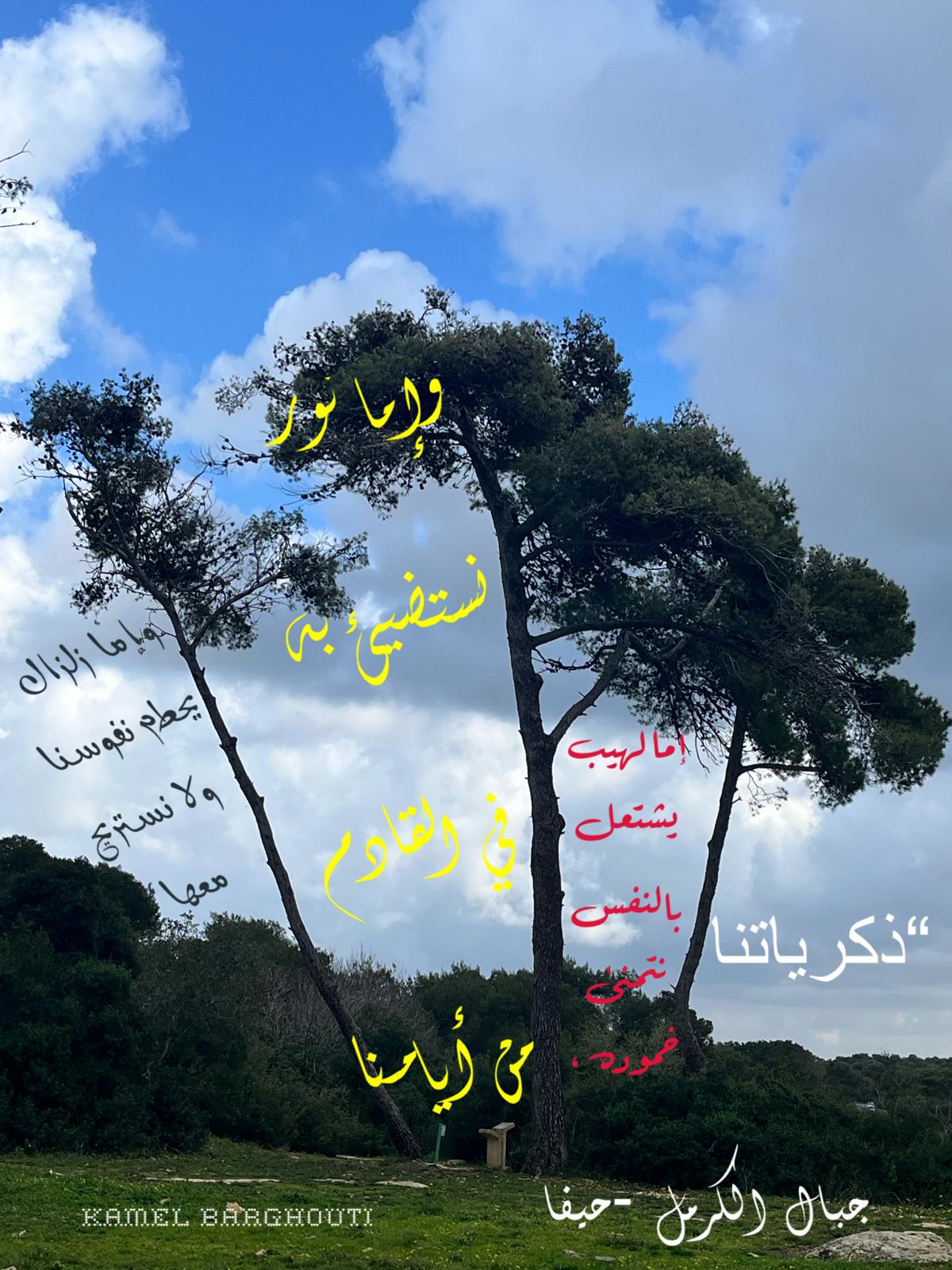 كلام جميل – اقتباس 792