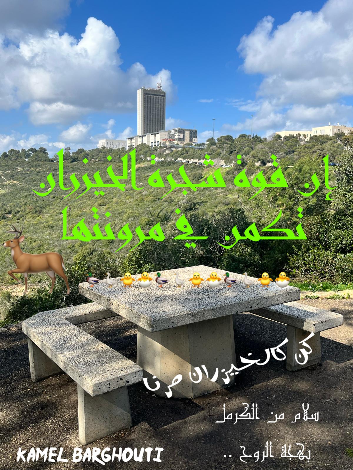 كلام جميل – اقتباس 798