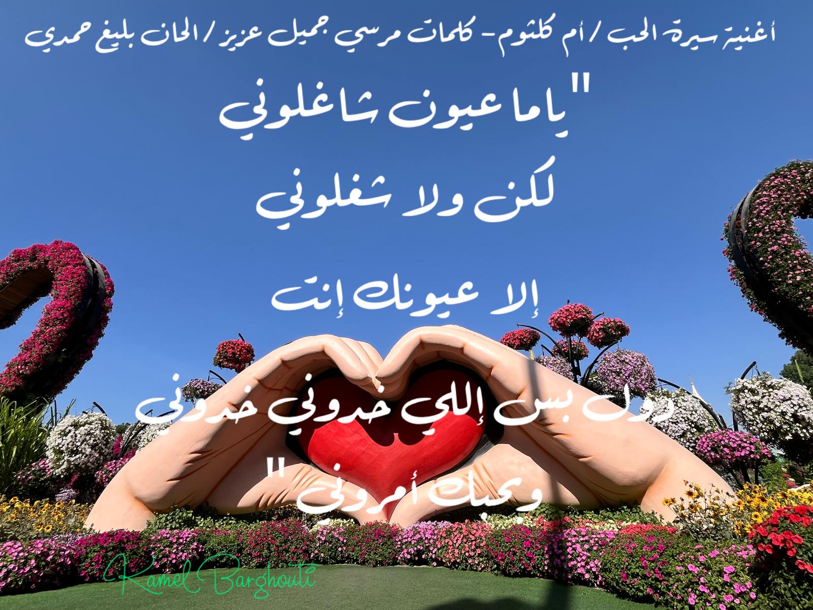 كلام جميل – اقتباس 779
