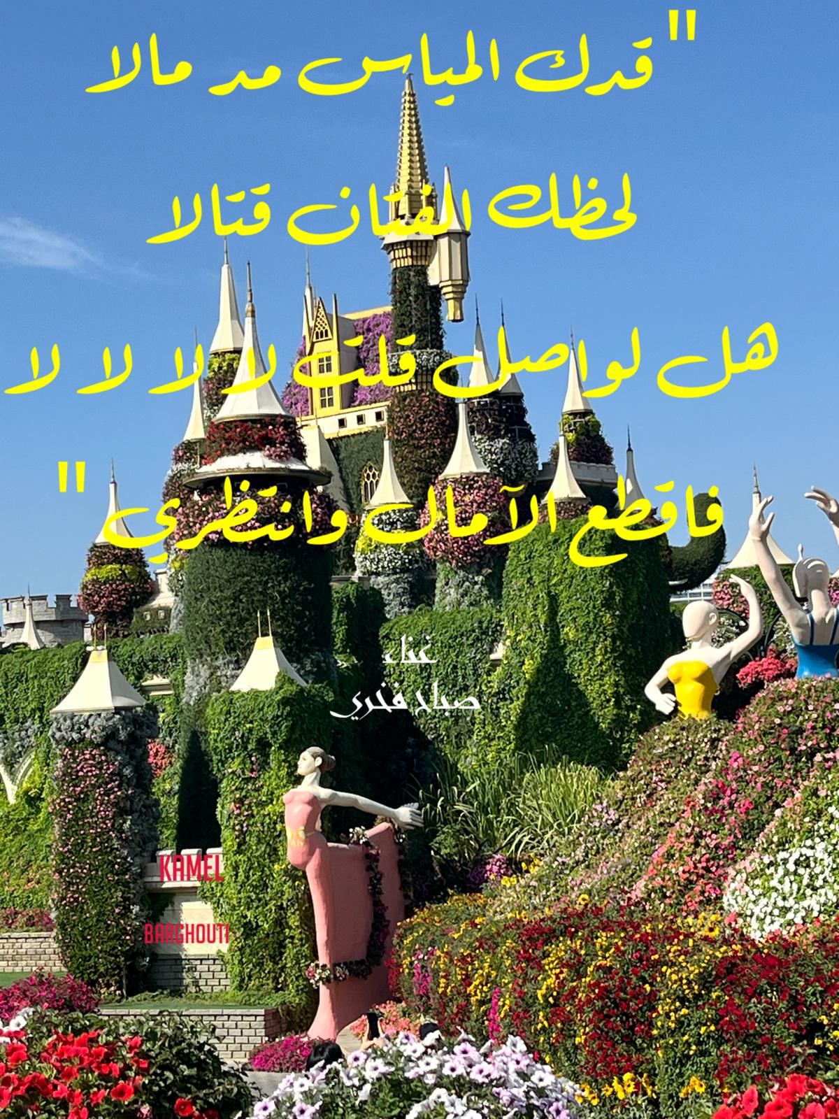 كلام جميل – اقتباس 781