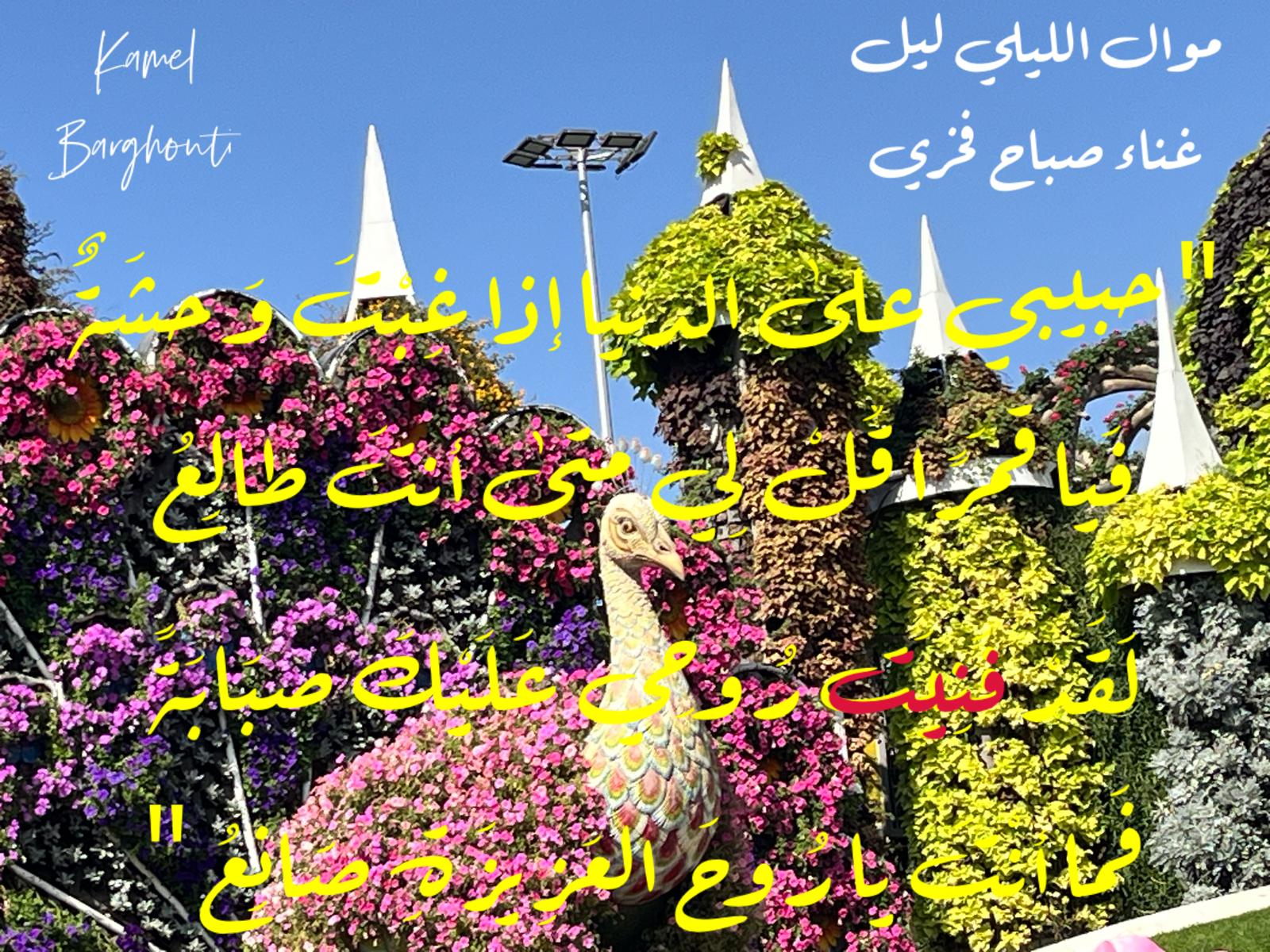 كلام جميل – اقتباس 780