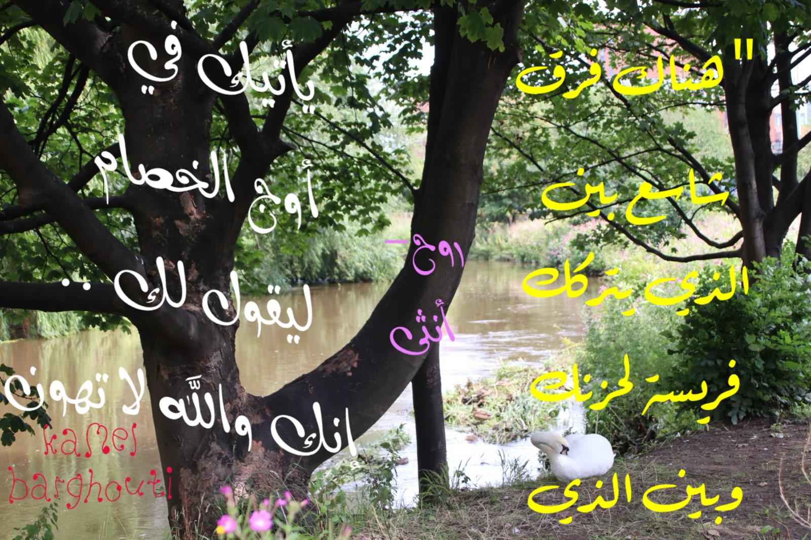 كلام جميل – اقتباس 769