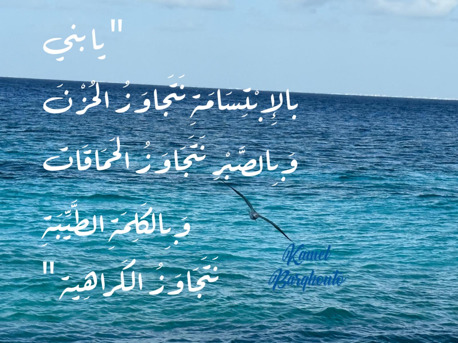 كلام جميل – اقتباس 764