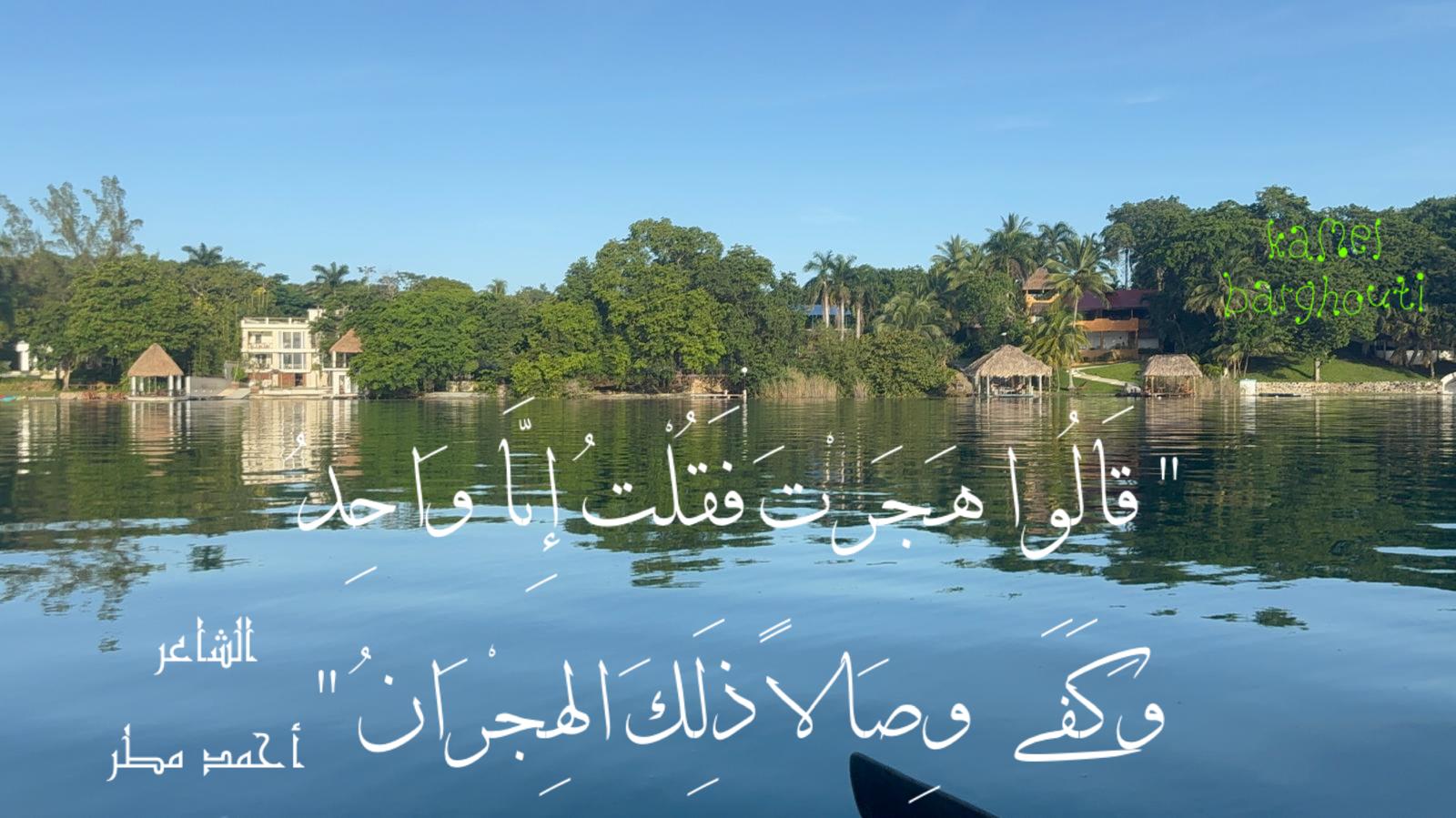 كلام جميل – اقتباس 765