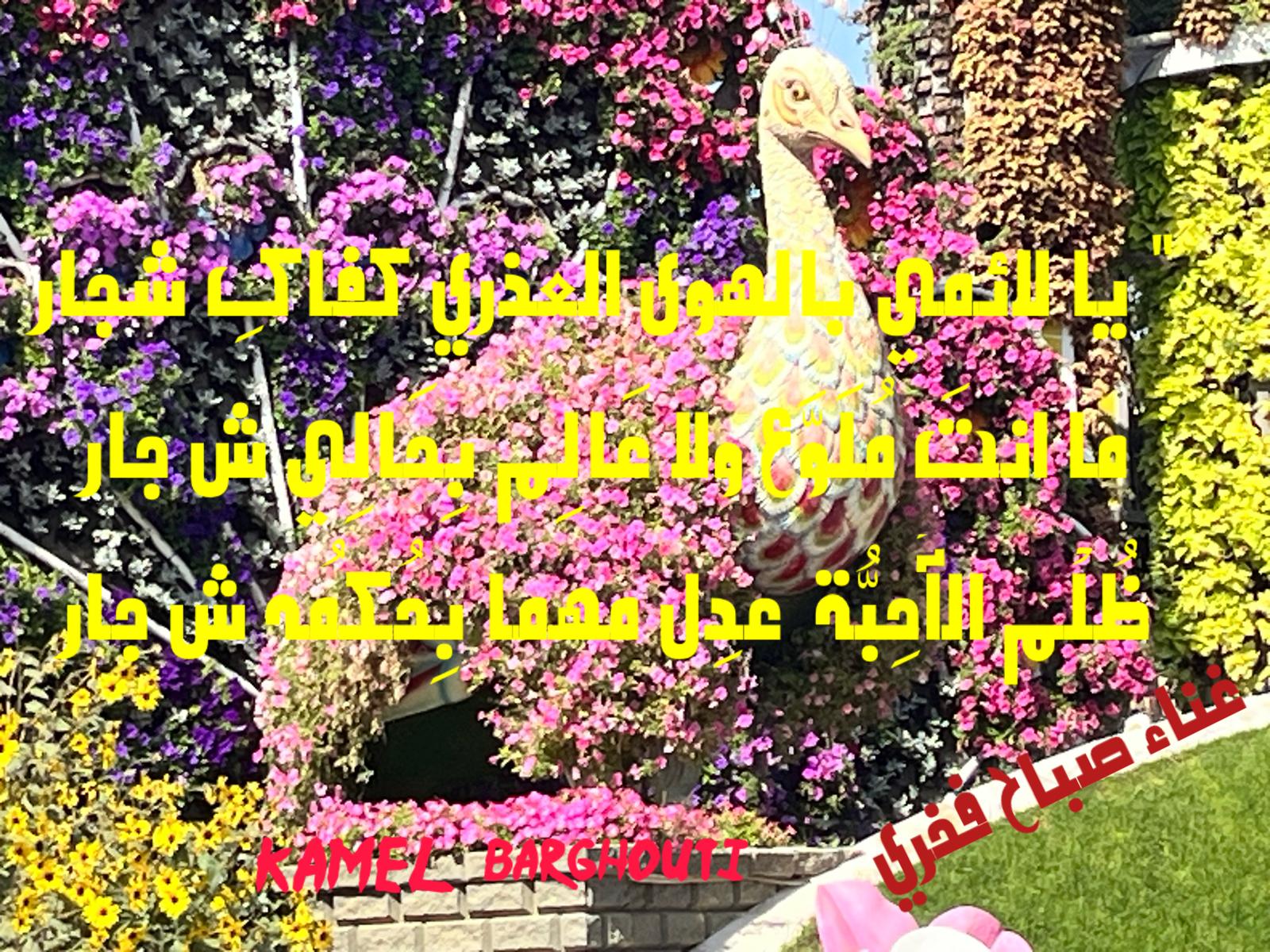 كلام جميل – اقتباس 752