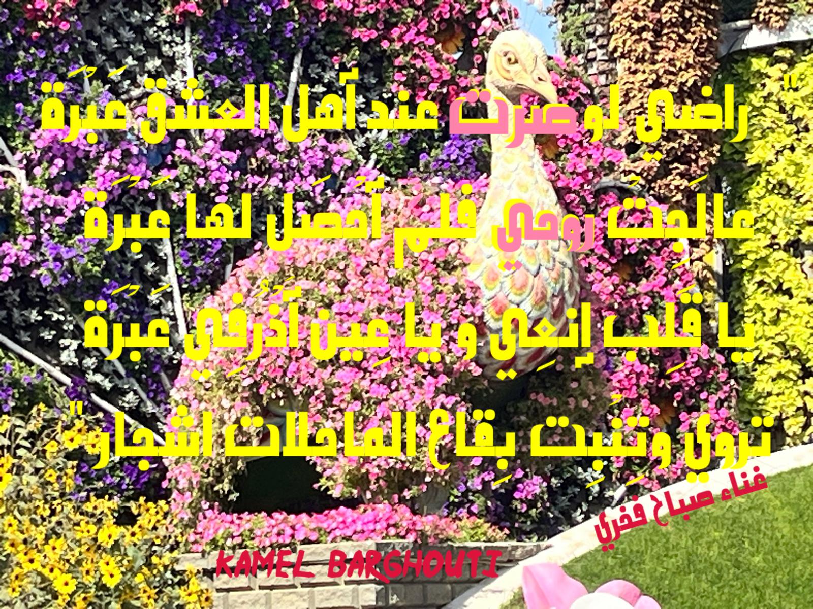 كلام جميل – اقتباس 753