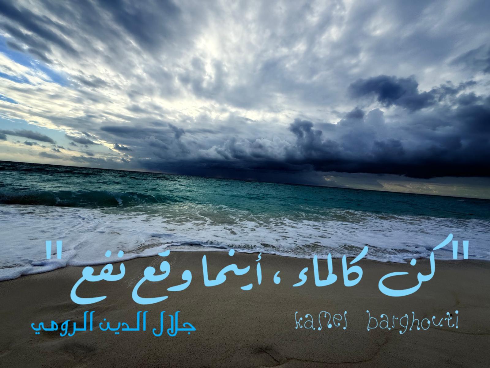 كلام جميل – اقتباس 731