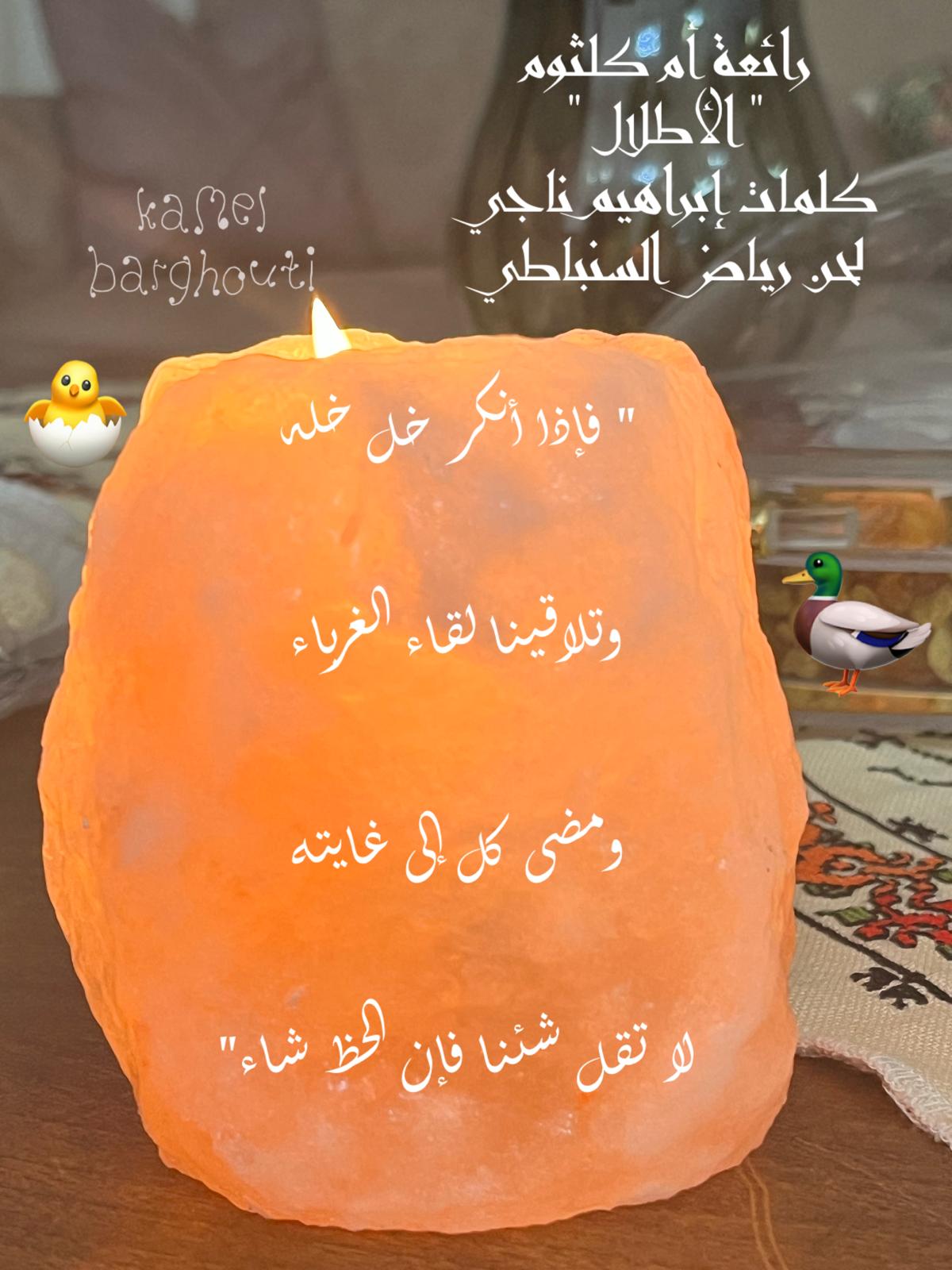 كلام جميل – اقتباس 729