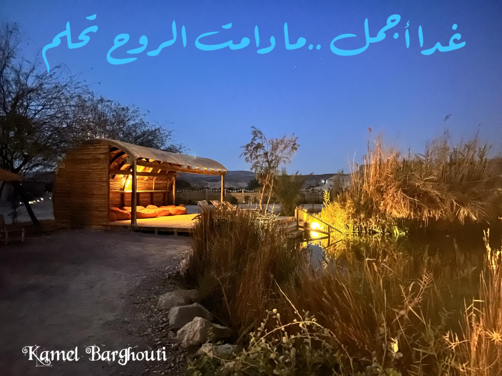 كلام جميل – اقتباس 711