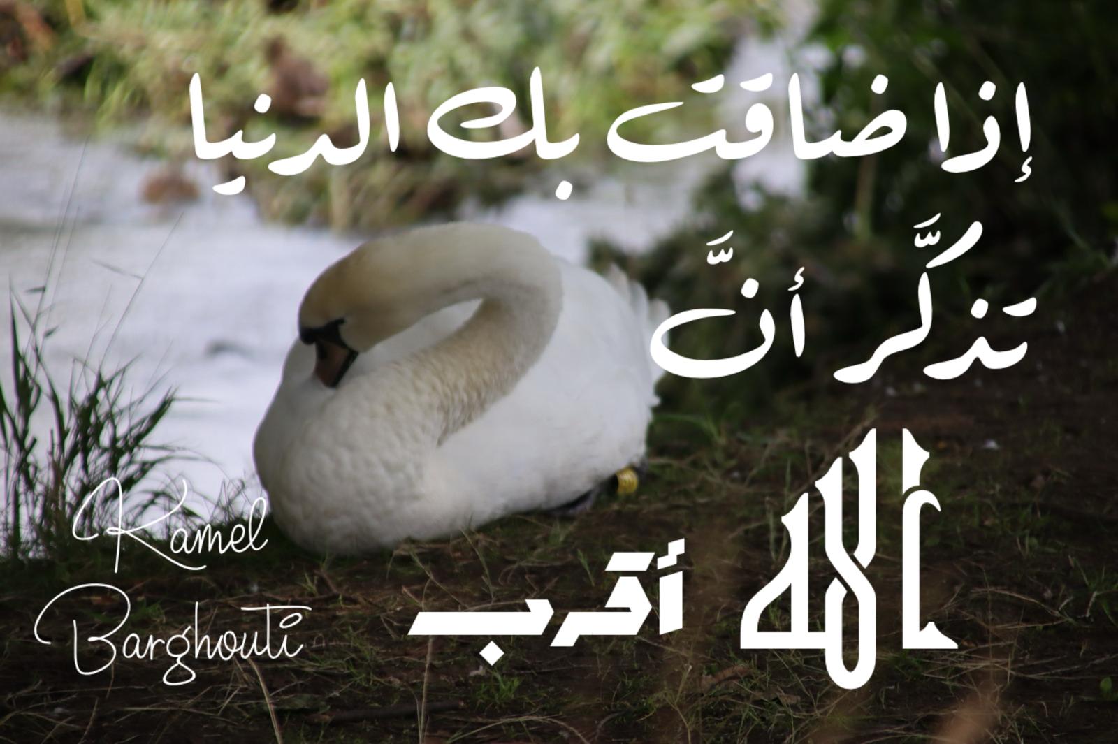 كلام جميل – اقتباس 715