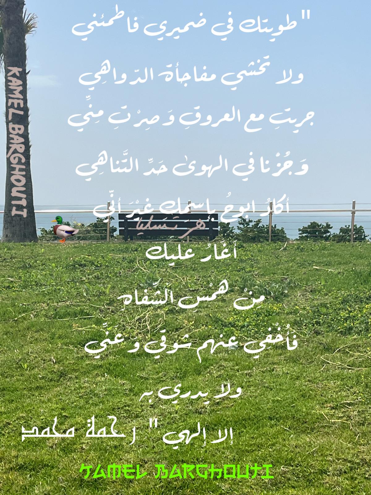 كلام جميل – اقتباس 724
