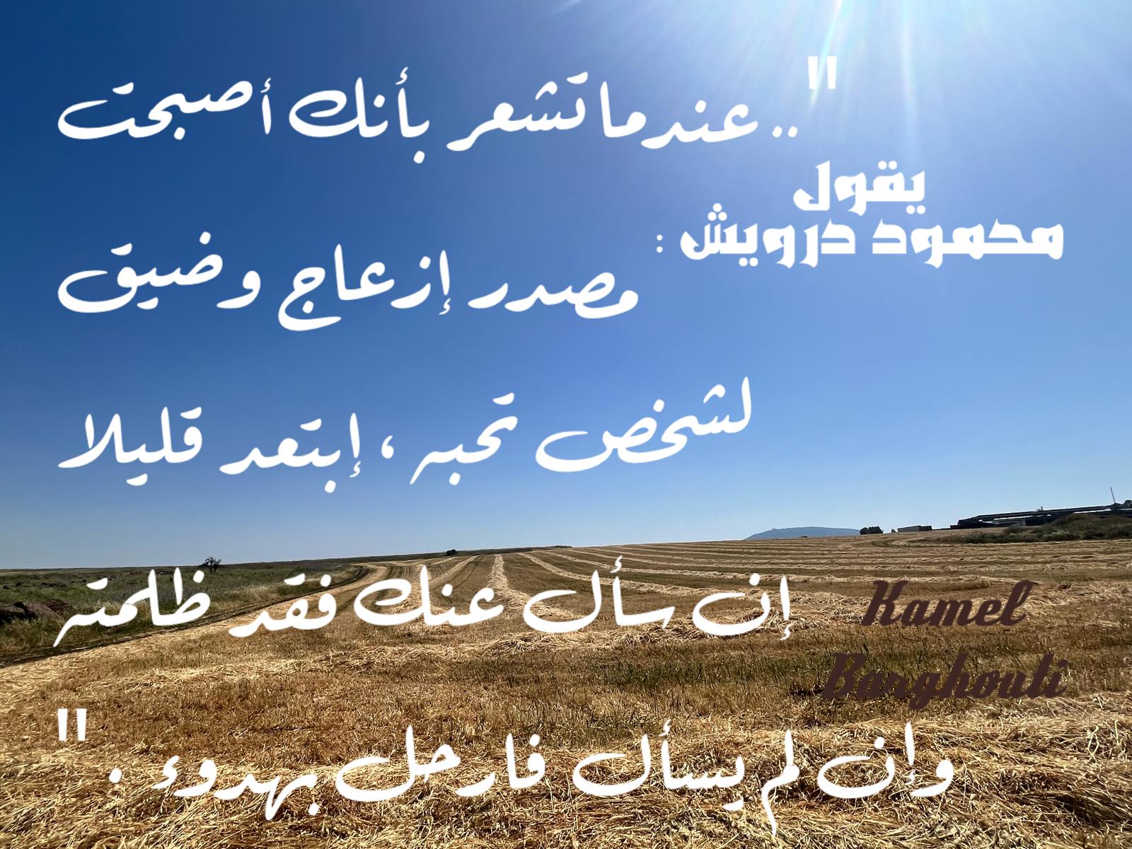 كلام جميل – اقتباس 708
