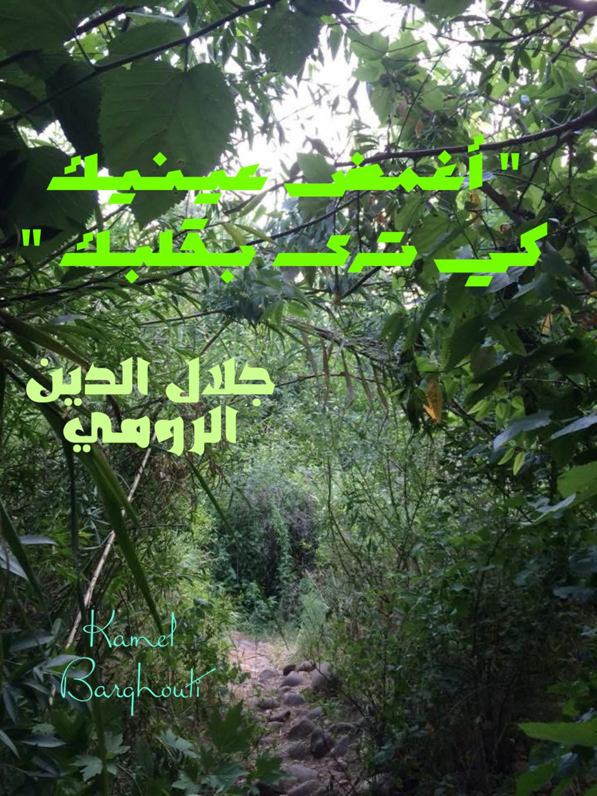 كلام جميل – اقتباس 699