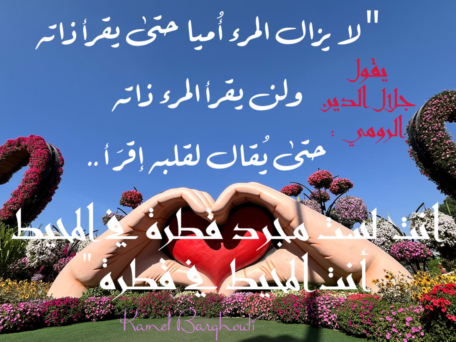 كلام جميل – اقتباس 692