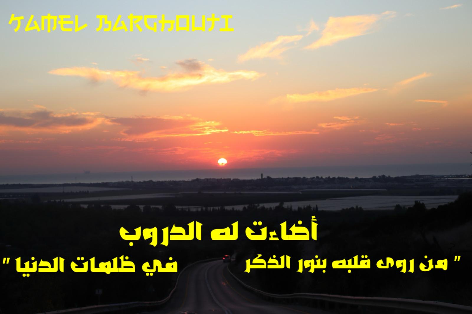 كلام جميل – اقتباس 662