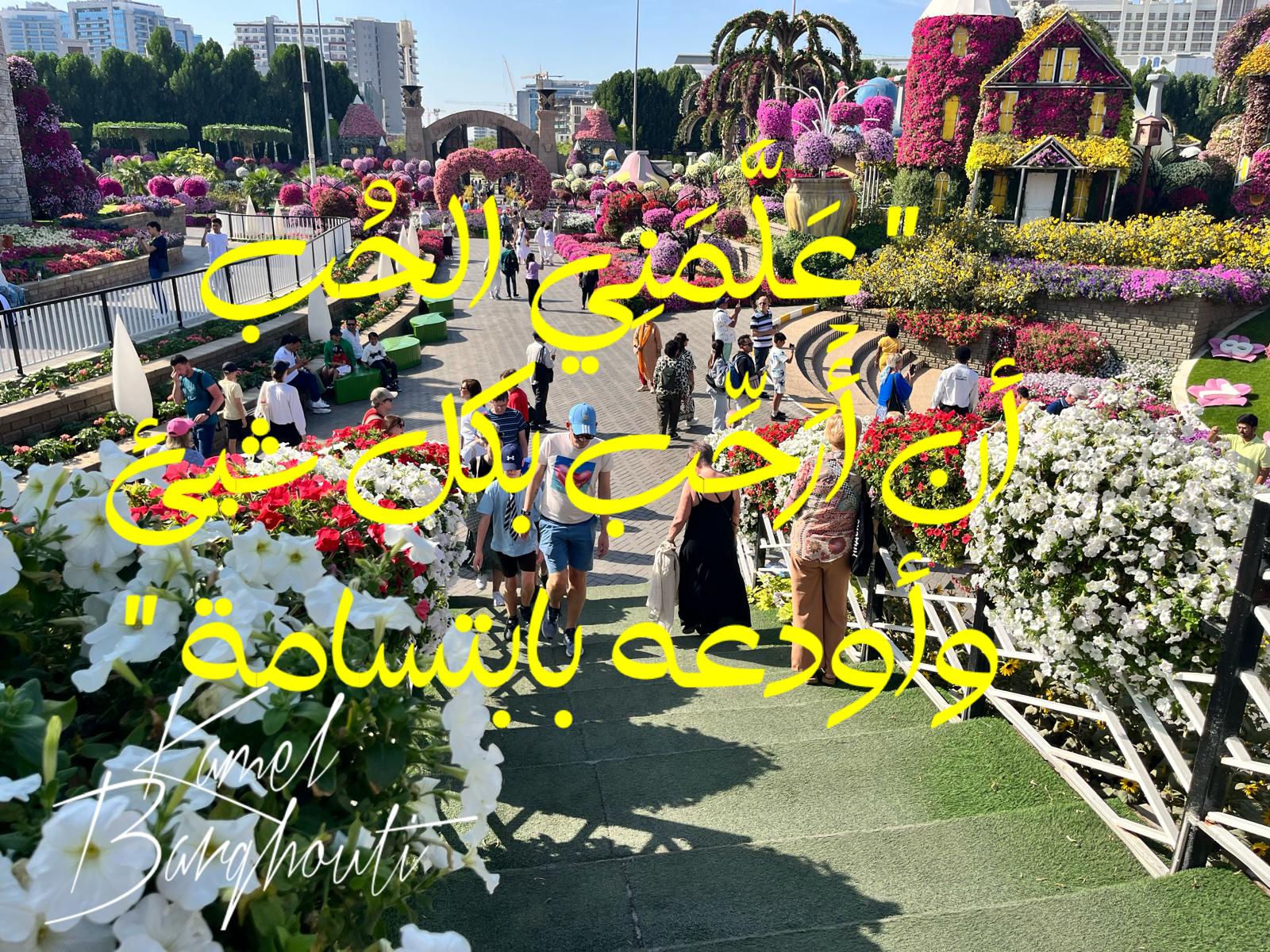 كلام جميل – اقتباس 663