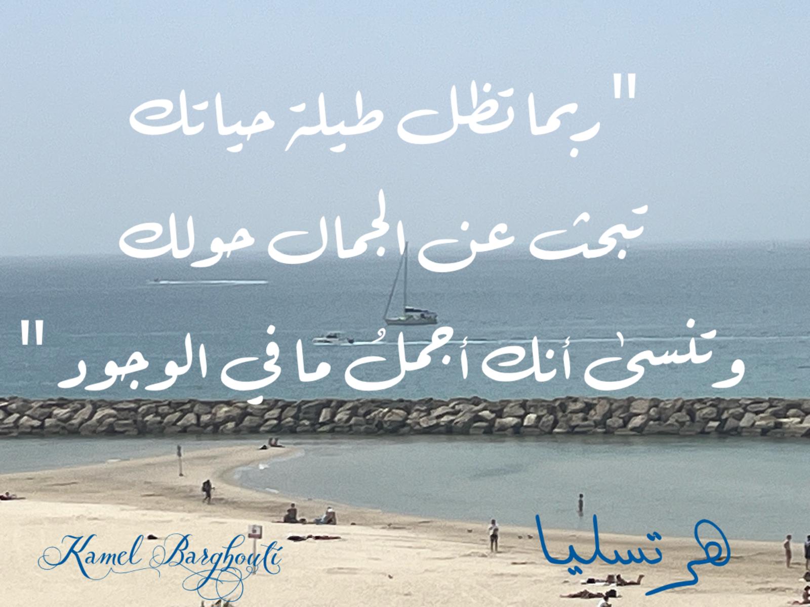 كلام جميل – اقتباس 659