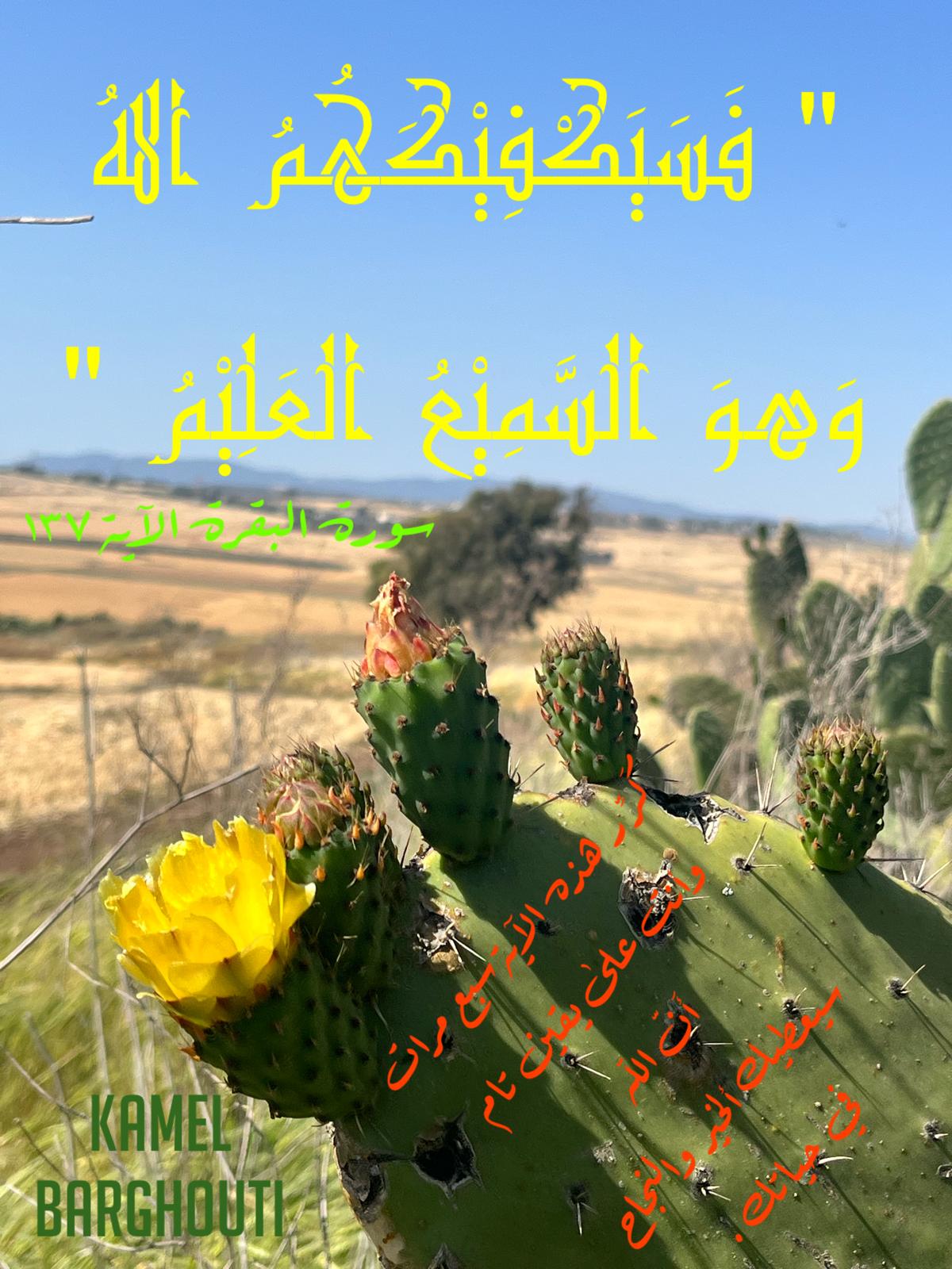 اليقين بالله – اقتباس 246