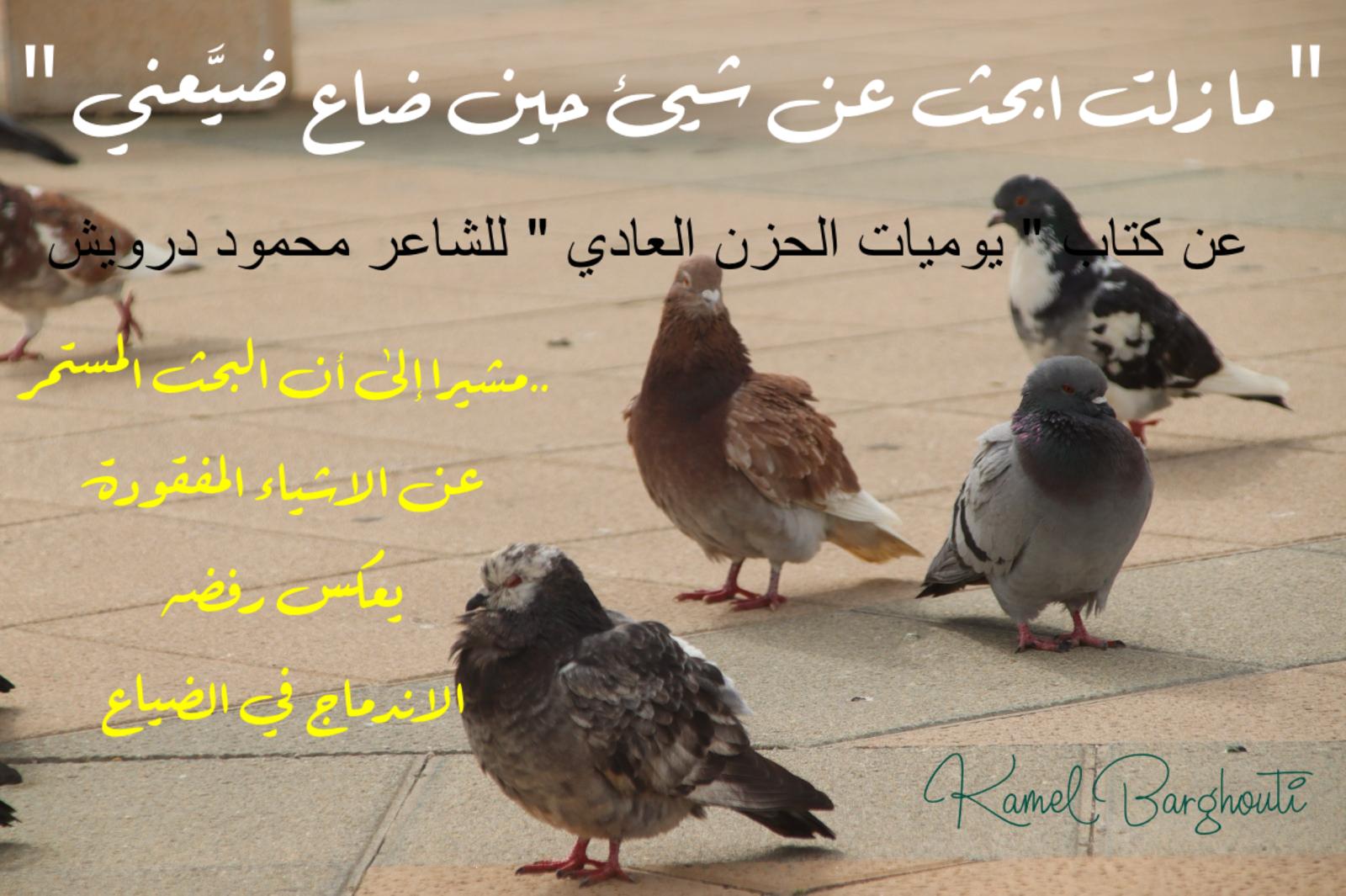 العزيمة والإصرار والثقة بالنفس – اقتباس 306