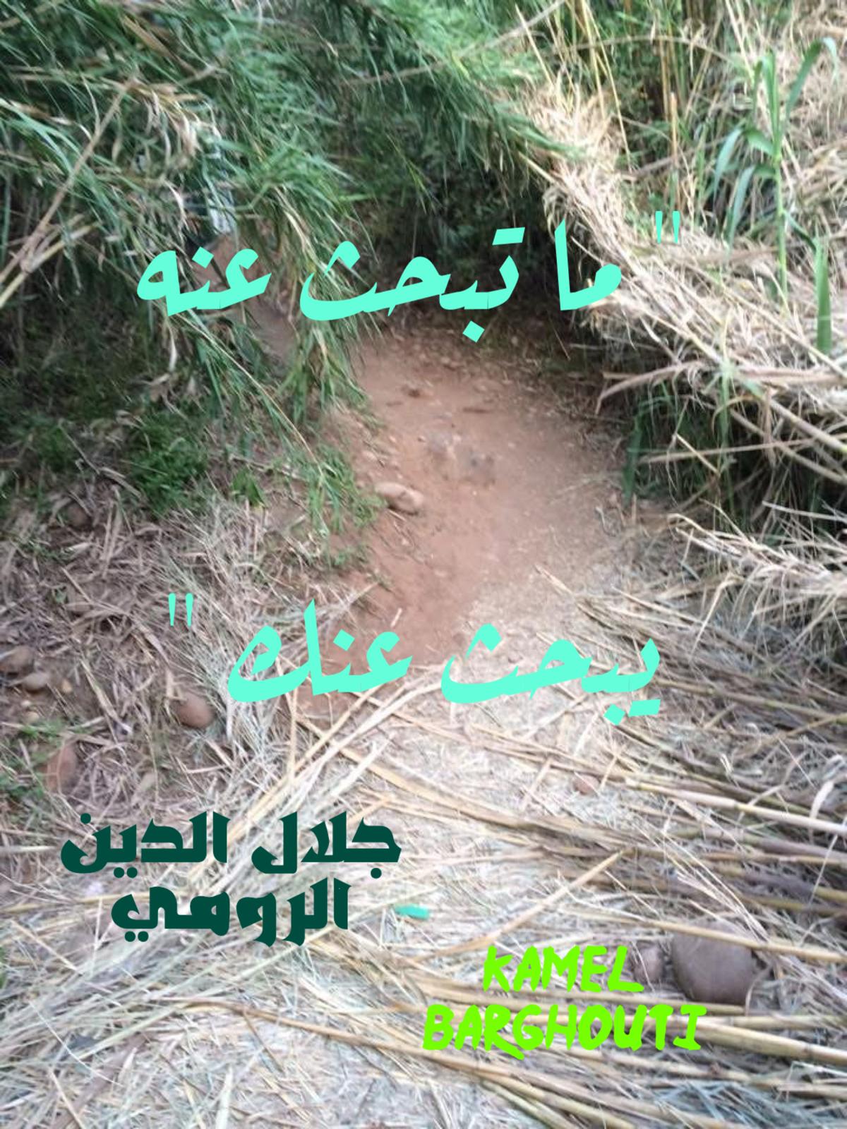 العزيمة والإصرار والثقة بالنفس – اقتباس 300