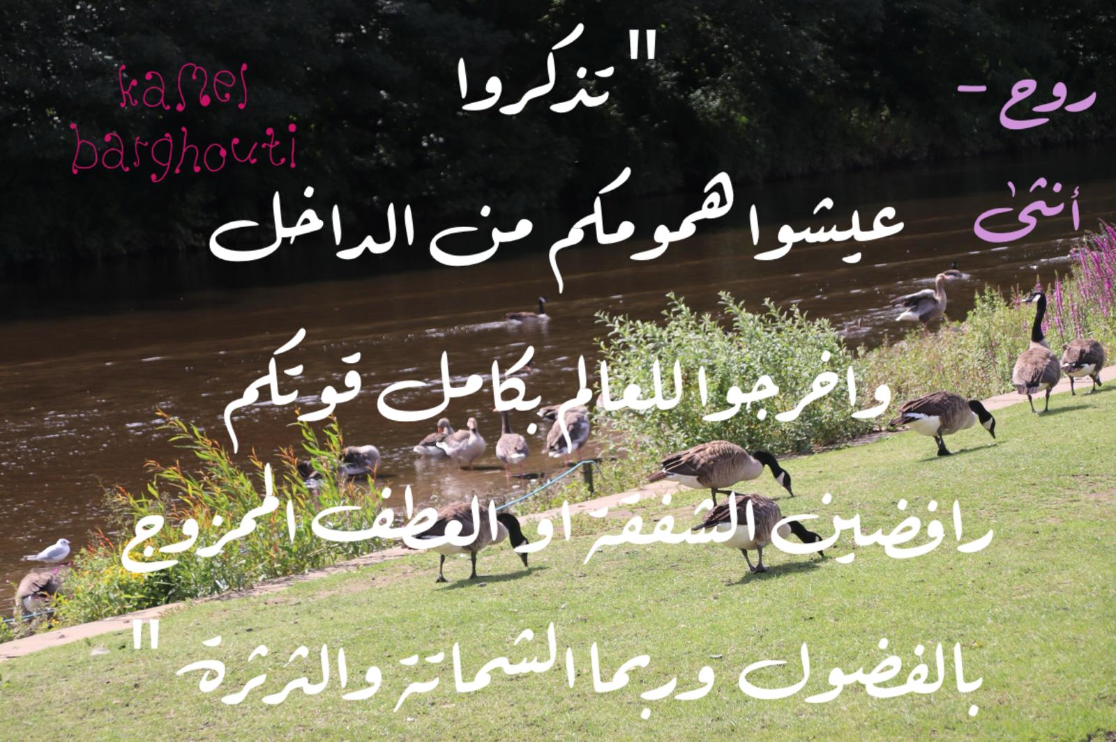 العزيمة والإصرار والثقة بالنفس – اقتباس 294