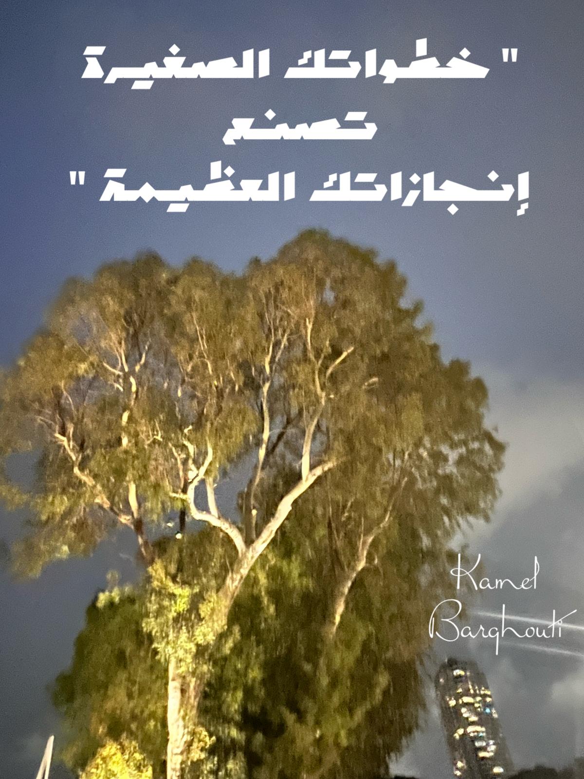 العزيمة والإصرار والثقة بالنفس – اقتباس 296