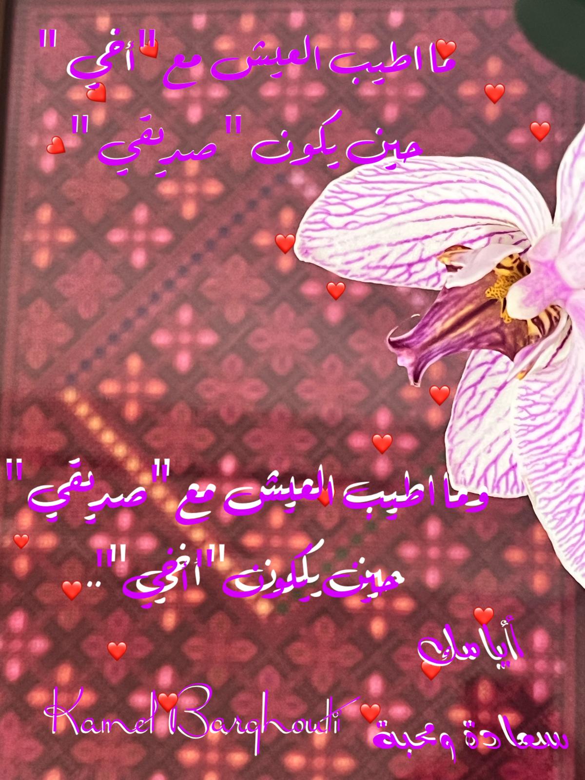 صداقة – اقتباس 167