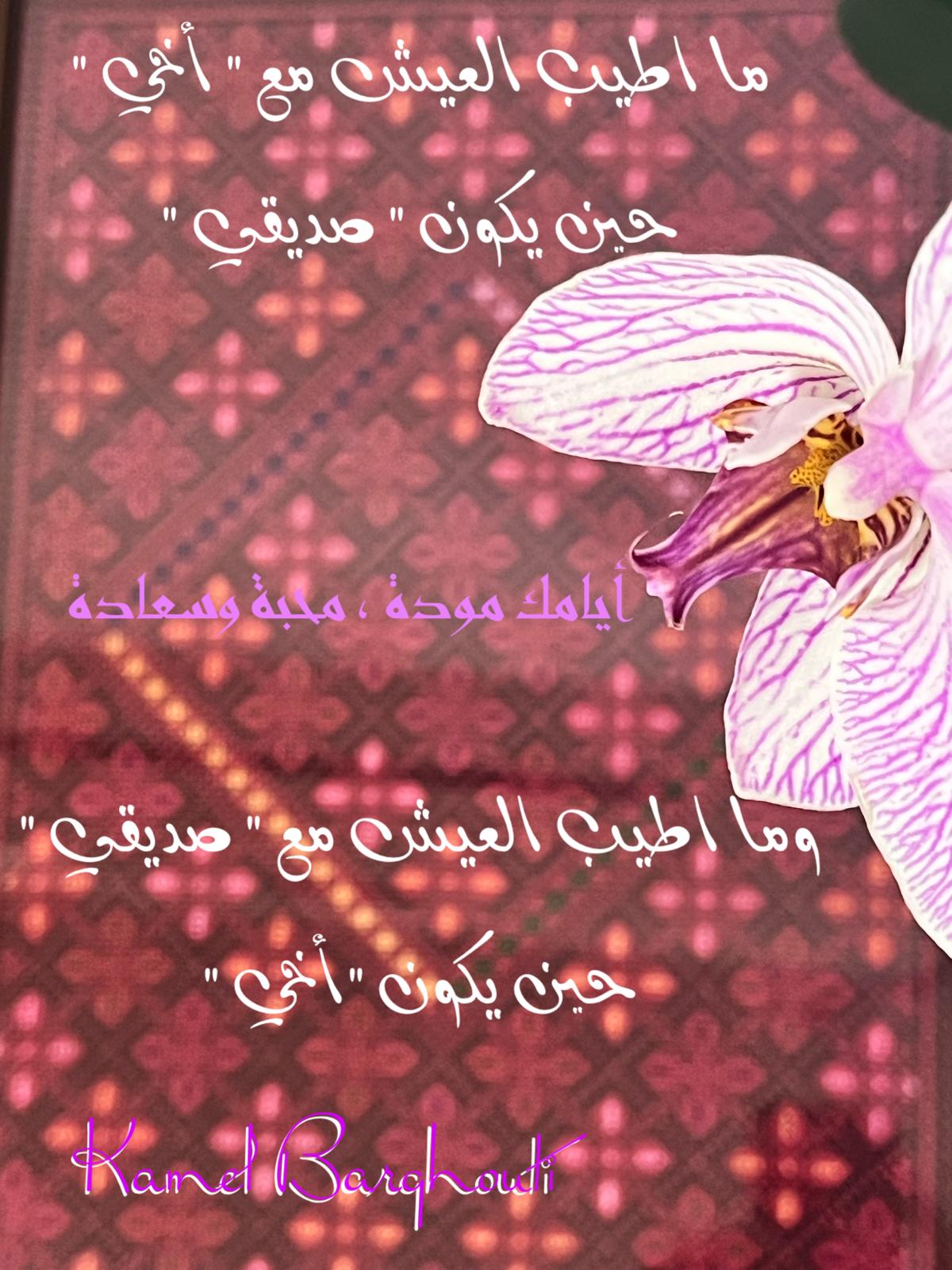 صداقة – اقتباس 168