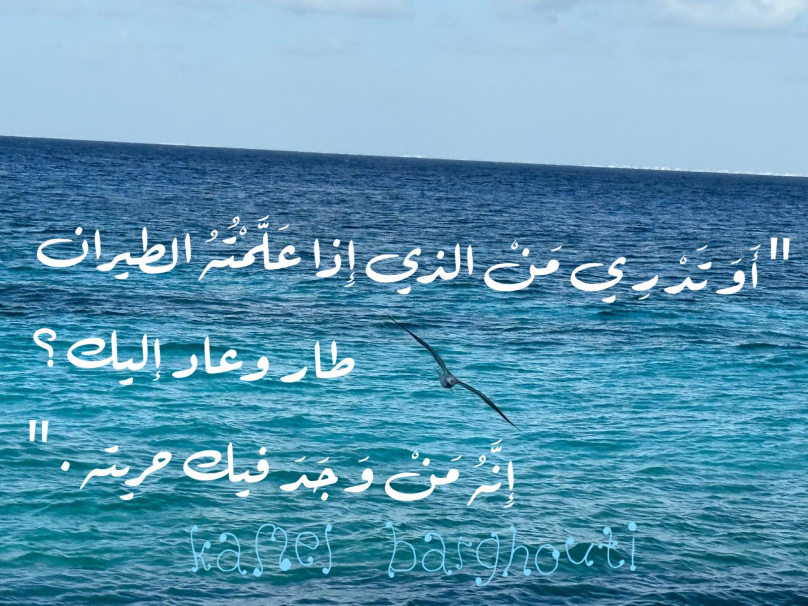 صداقة – اقتباس 166