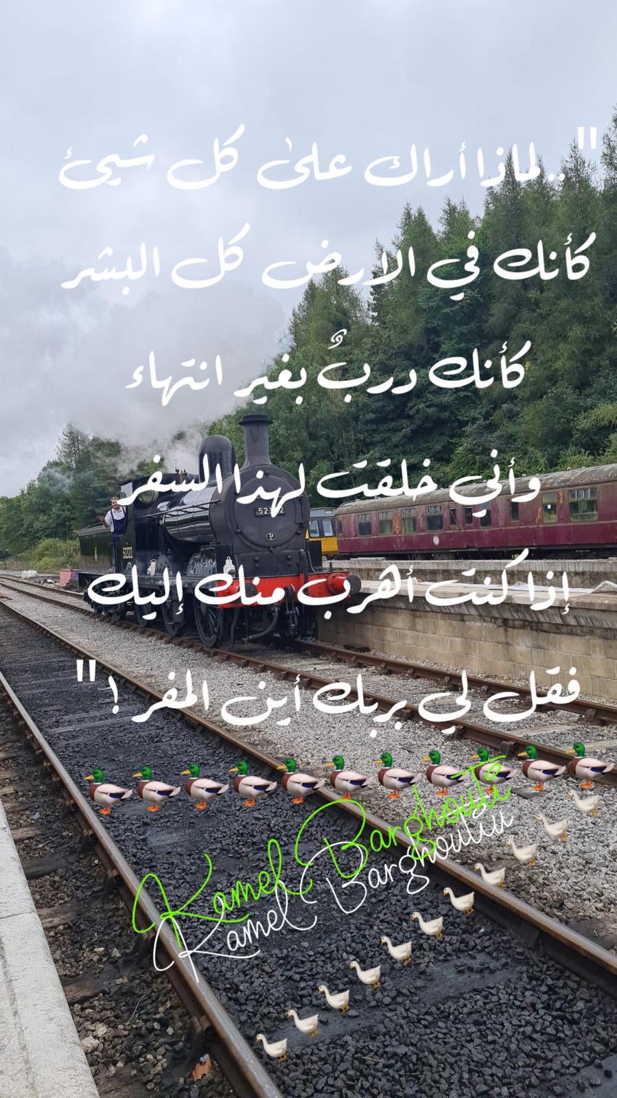 حب وحنين – اقتباس 647