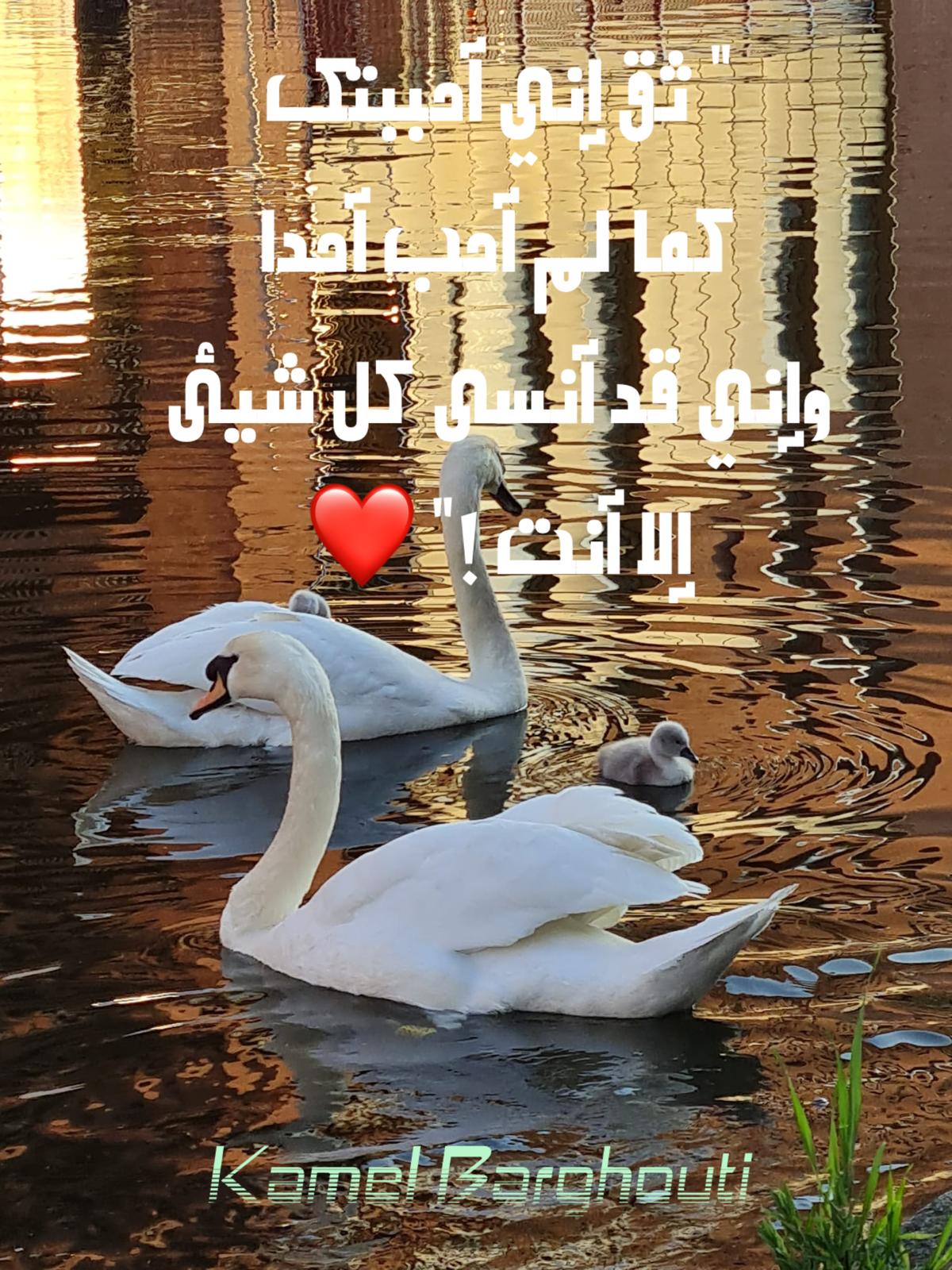 حب وحنين – اقتباس 650