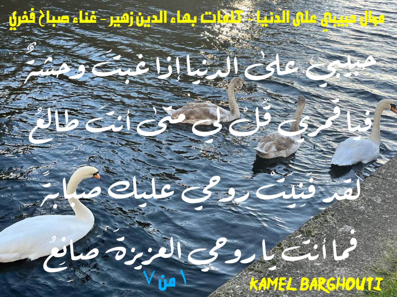 حب وحنين – اقتباس 660