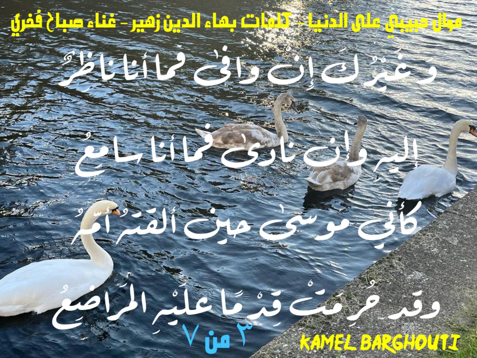 حب وحنين – اقتباس 662