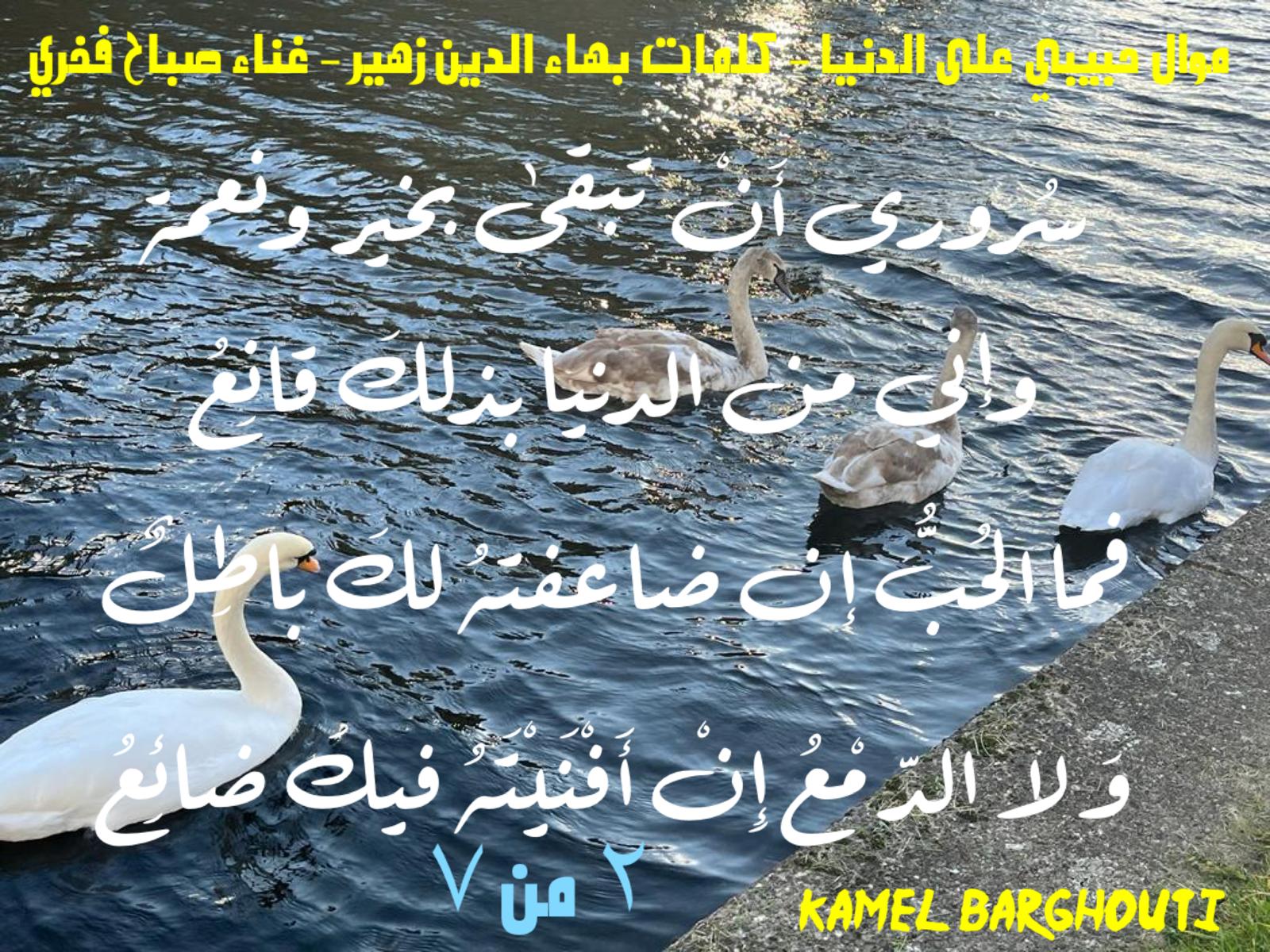 حب وحنين – اقتباس 661