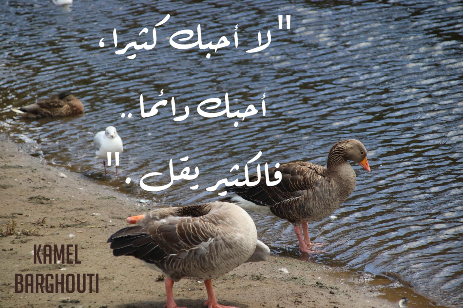حب وحنين – اقتباس 651