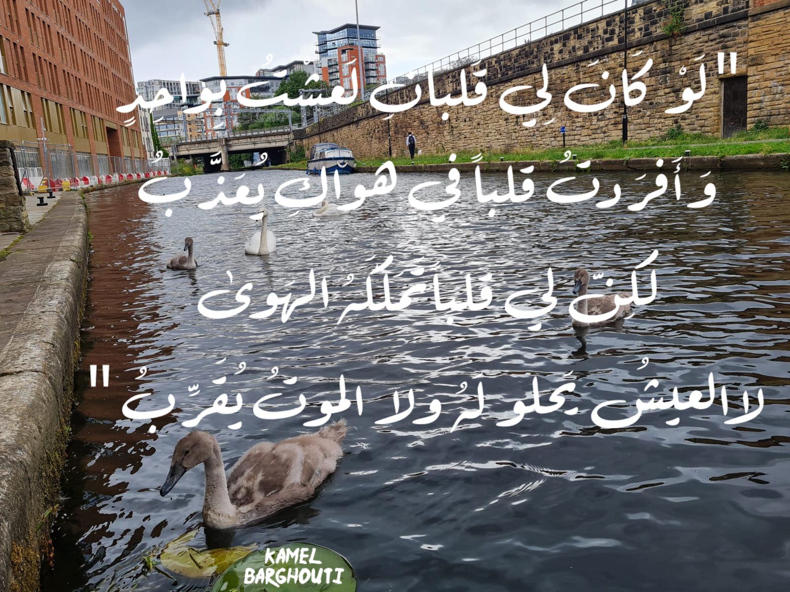 حب وحنين – اقتباس 633