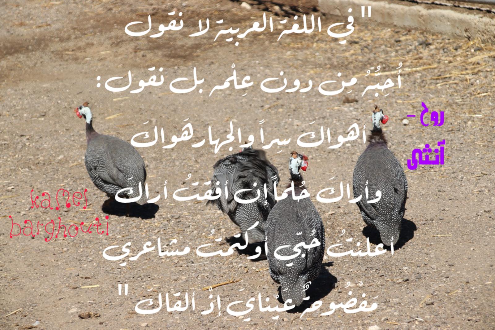 حب وحنين – اقتباس 636