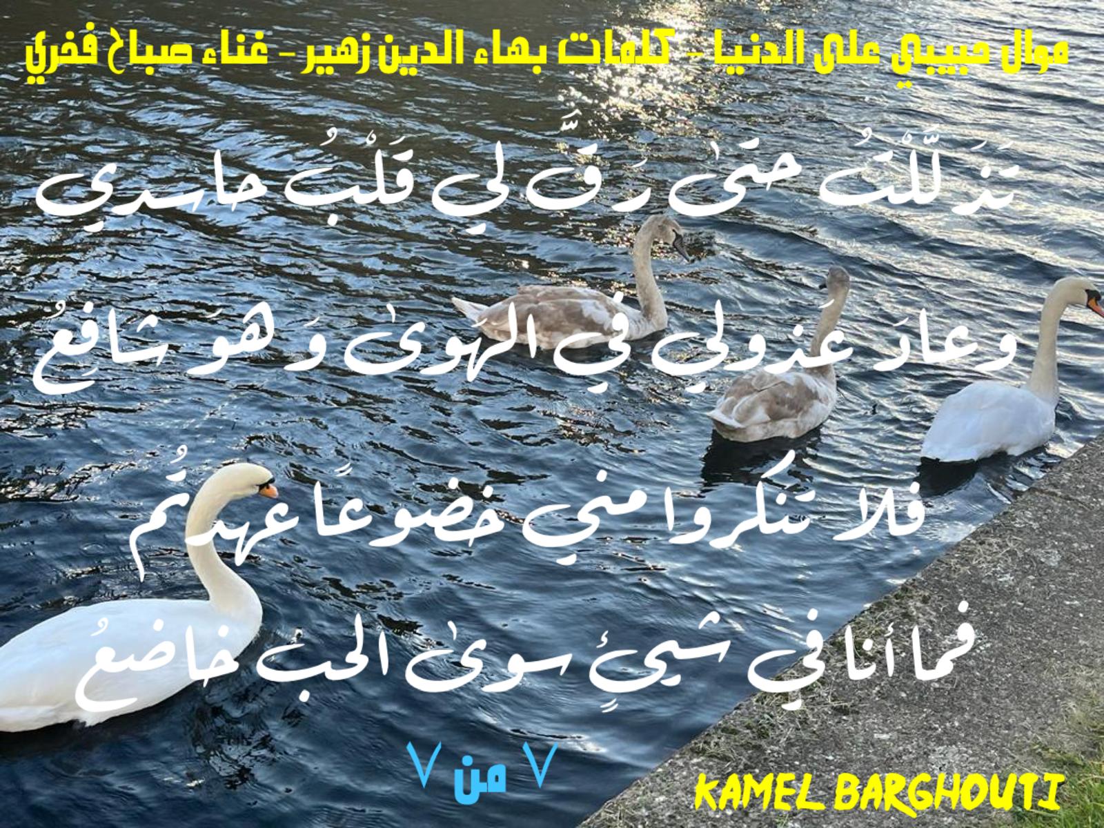 حب وحنين – اقتباس 623