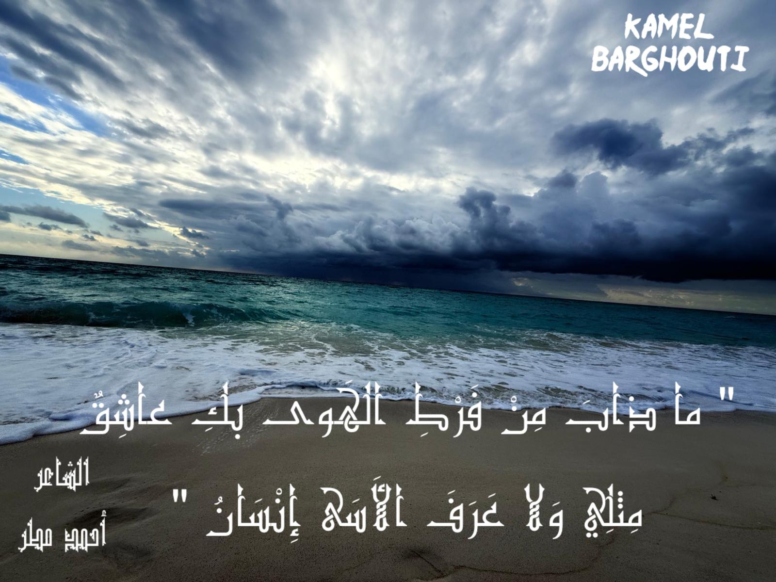 حب وحنين – اقتباس 631