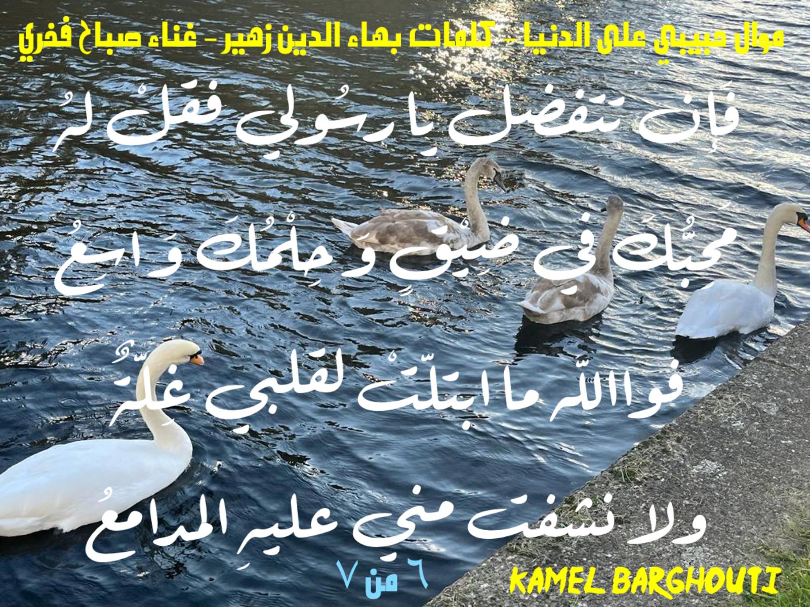 حب وحنين – اقتباس 642