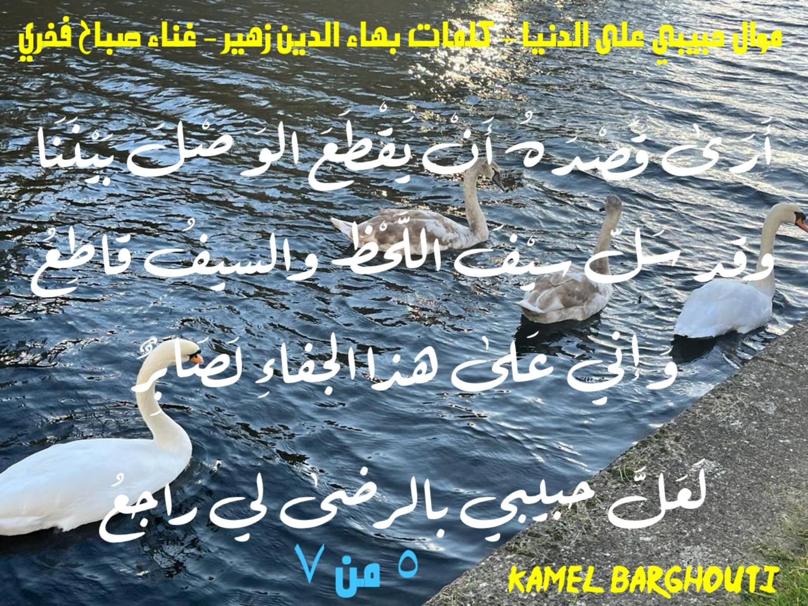 حب وحنين – اقتباس 641