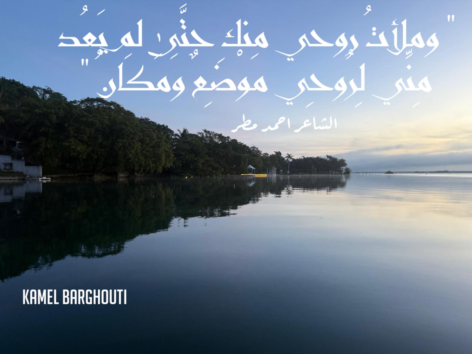 حب وحنين – اقتباس 630
