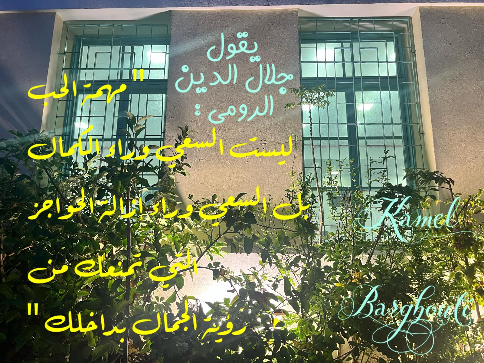 حب وحنين – اقتباس 609
