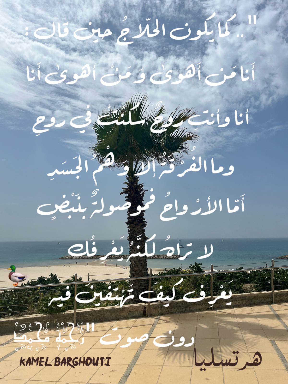 حب وحنين – اقتباس 605